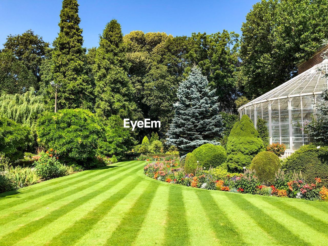 View of flowering plants in garden