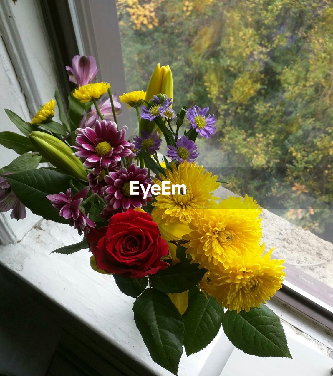 High angle view of flowers at window