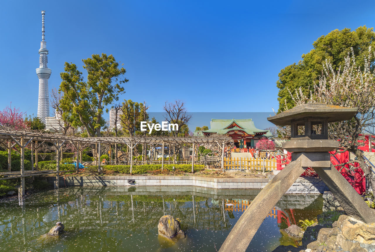 Tokyo skytree overlooking the lantern in the pond of the kameido tenjin shrine.