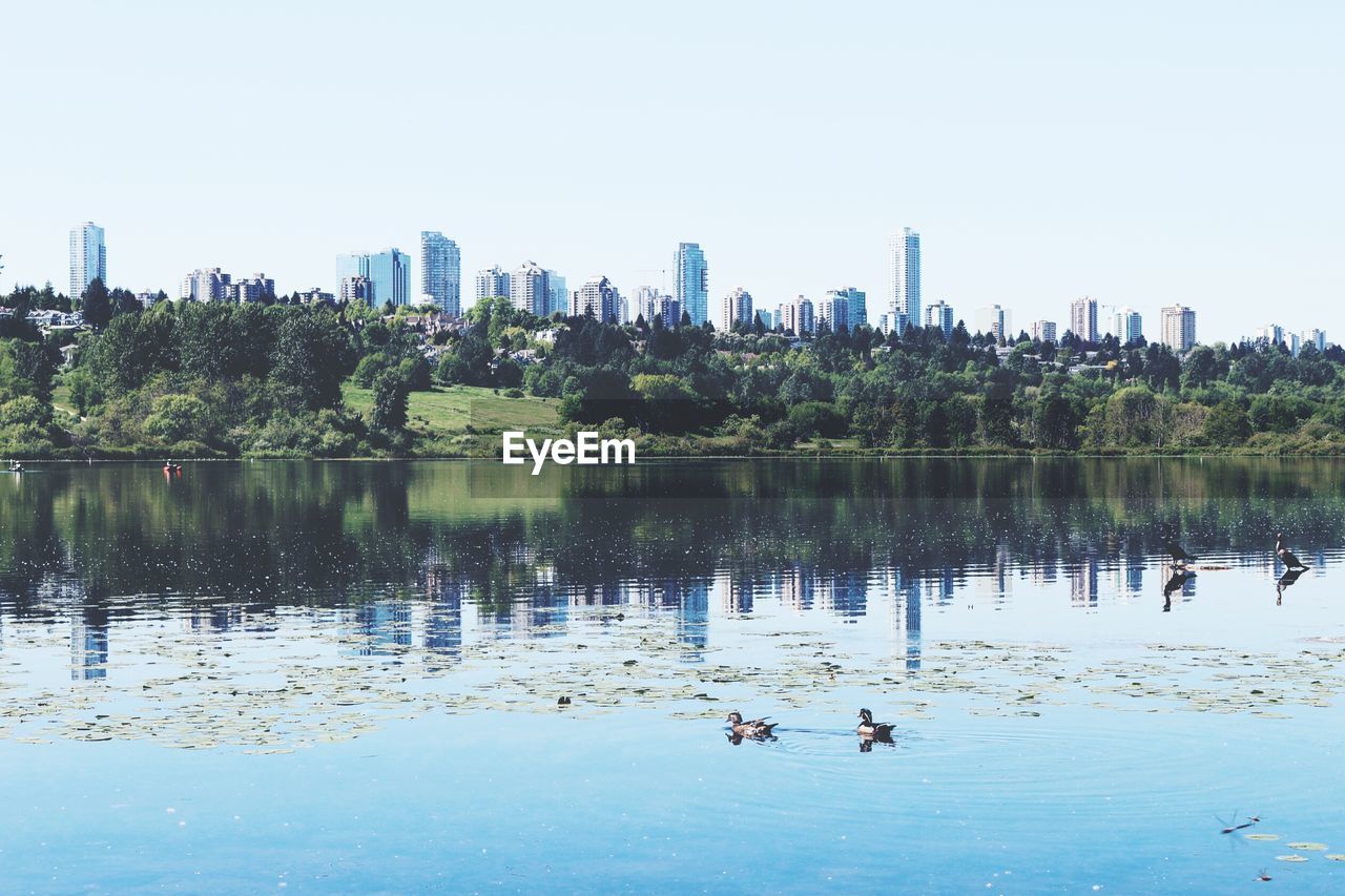 Cityscape and trees reflecting in lake