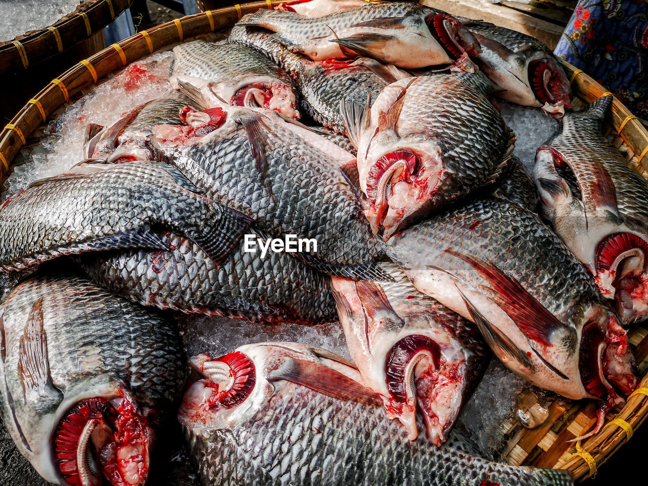 HIGH ANGLE VIEW OF FISH FOR SALE