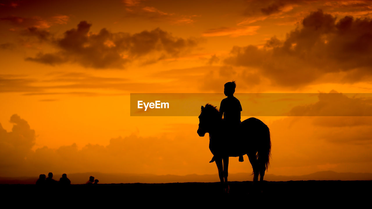 Silhouette boy riding horse against orange sky