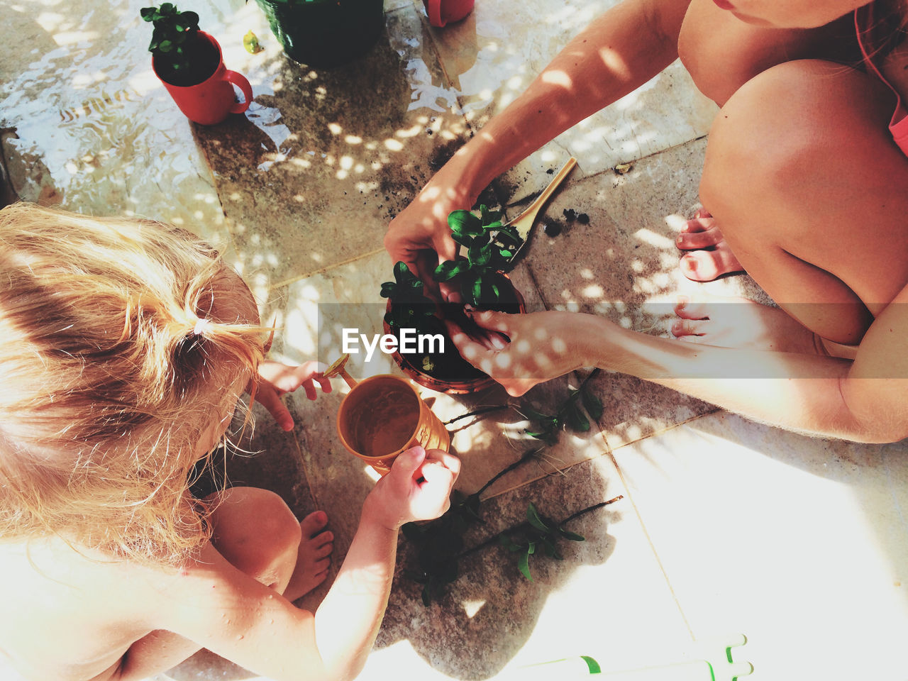 High angle view of mother and daughter planting in pot at back yard