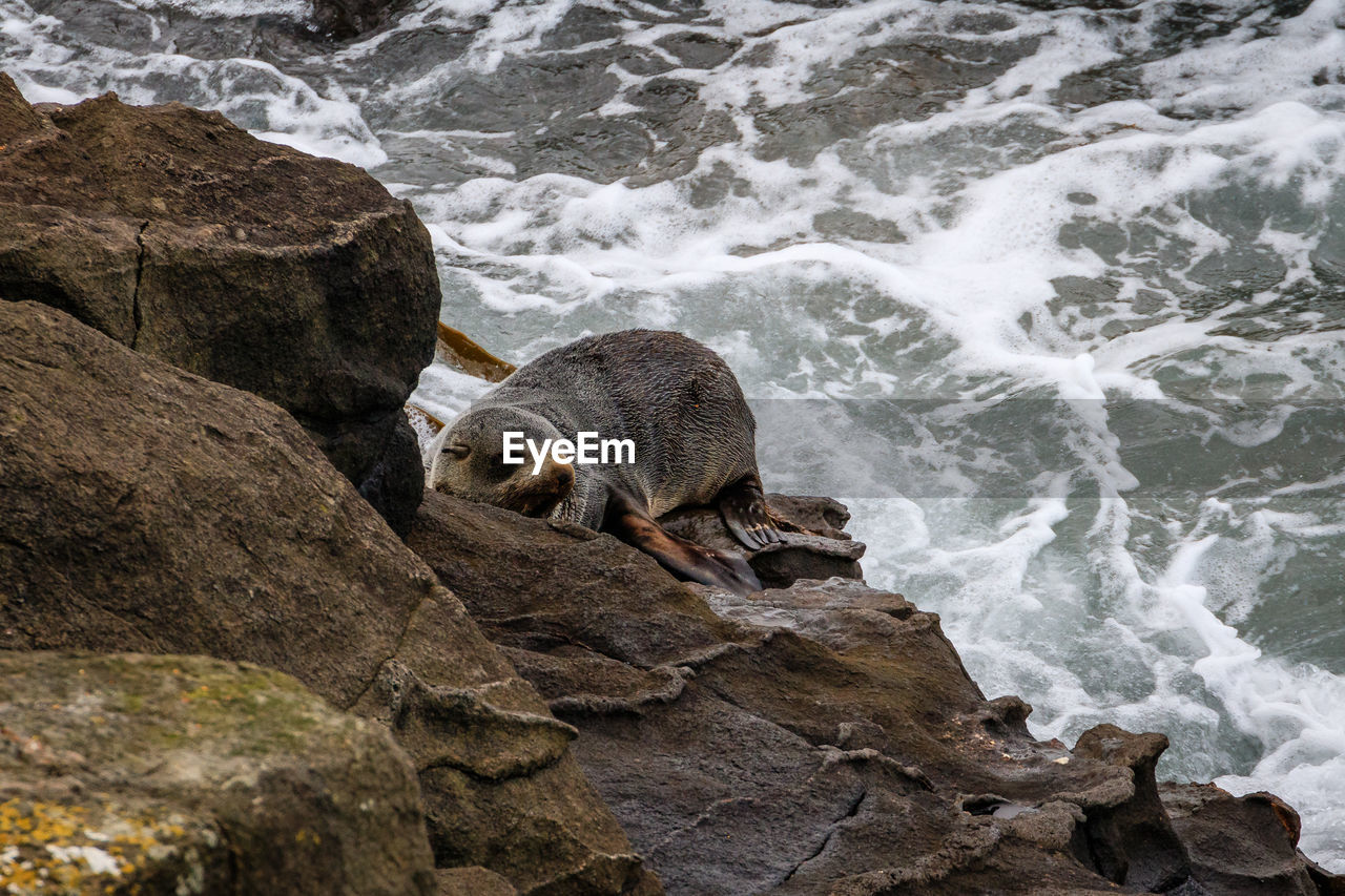 VIEW OF A ROCK