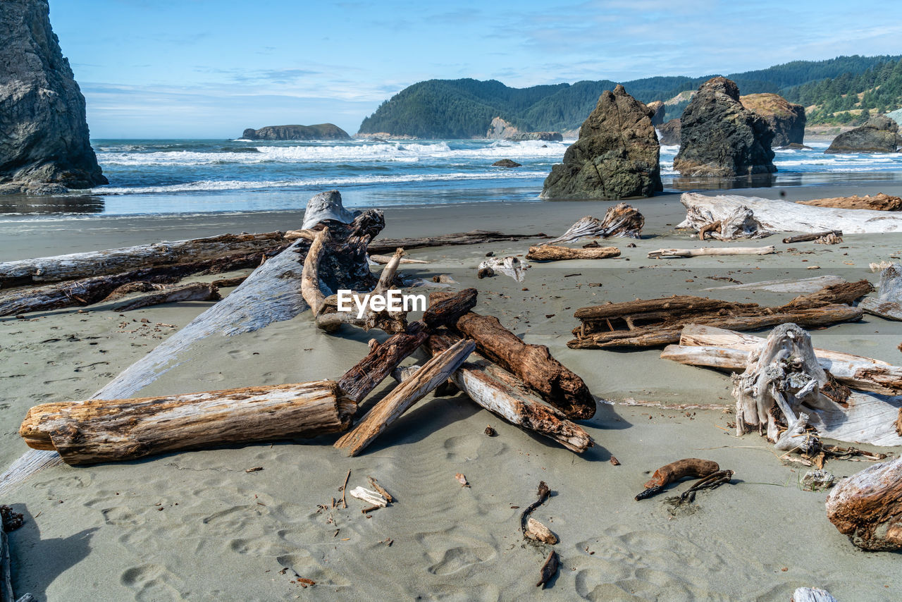 high angle view of driftwood on beach