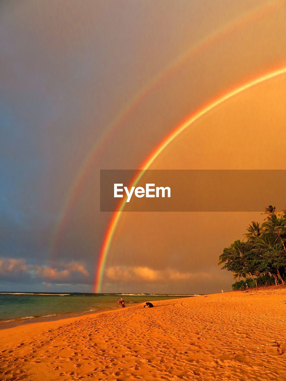 Rainbow on a beach in hawaii