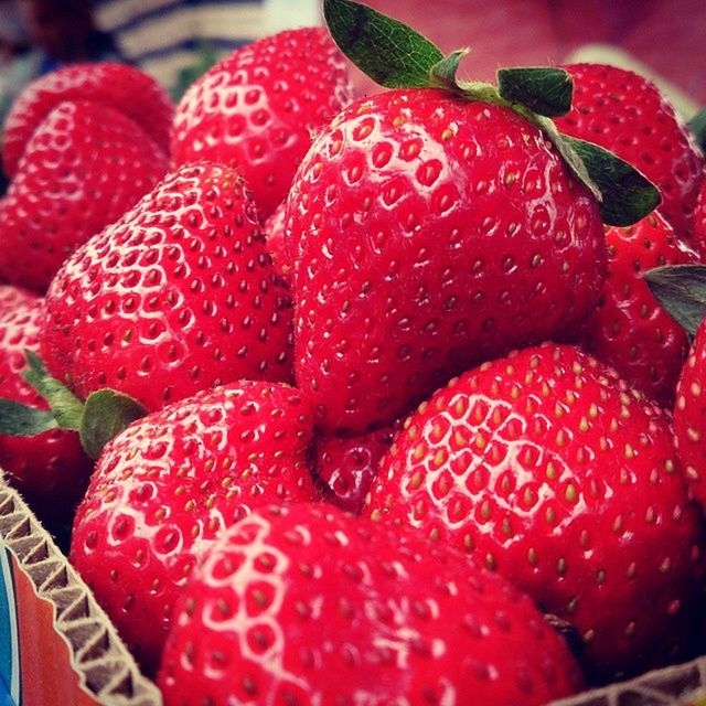 CLOSE-UP OF STRAWBERRY