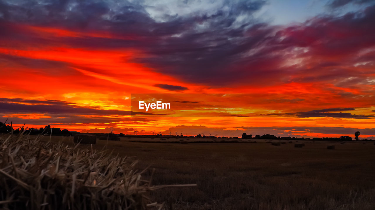 SCENIC VIEW OF AGRICULTURAL FIELD AGAINST ORANGE SKY