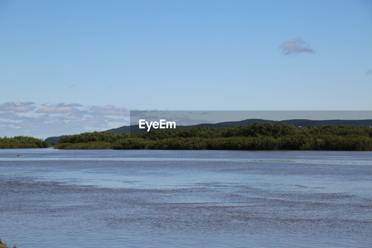 SCENIC VIEW OF LAKE AND TREES AGAINST SKY