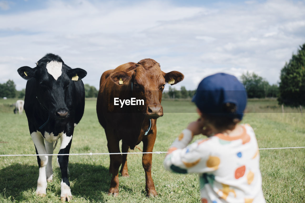 Rear view of boy looking at cows against cloudy sky during sunny day