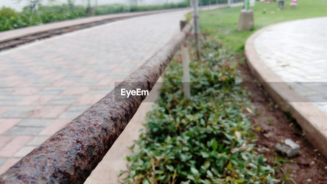 Close-up of rusty metal by plants at sidewalk