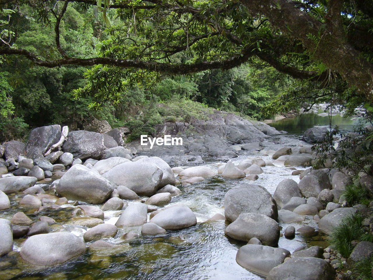 STREAM FLOWING THROUGH ROCKS