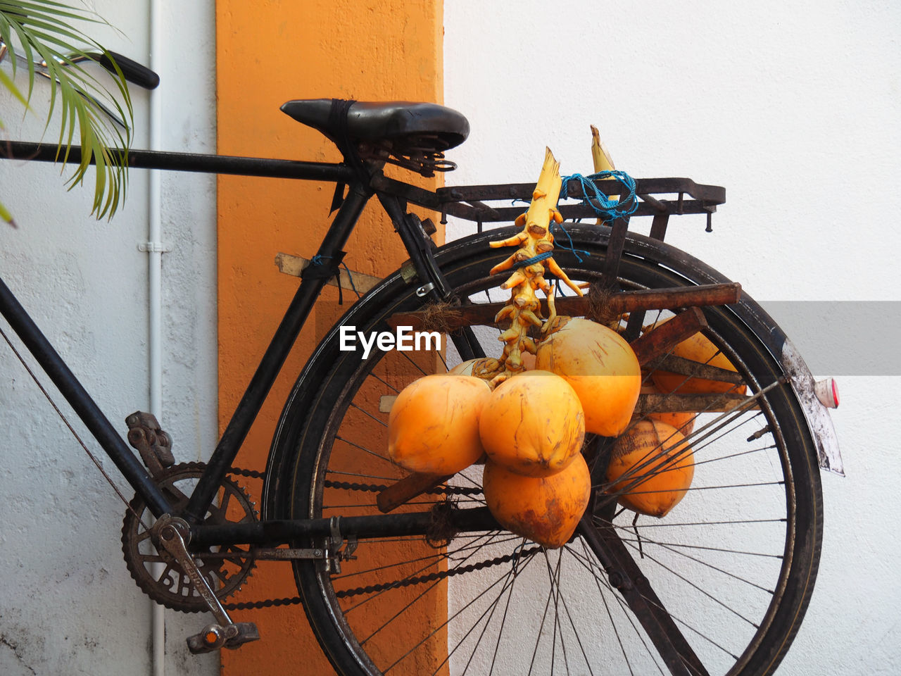 bicycle, mode of transportation, transportation, land vehicle, orange color, no people, wall - building feature, stationary, food, wheel, day, built structure, architecture, basket, outdoors, food and drink, parking, nature, fruit, metal, orange