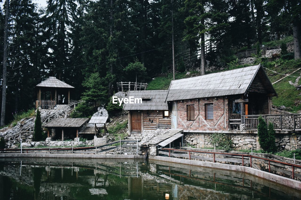 Houses by lake and trees in forest