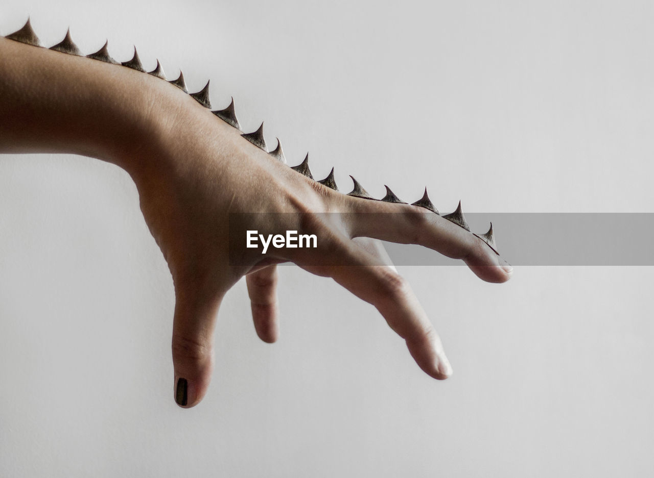 Close-up of woman hand with thorn against white background