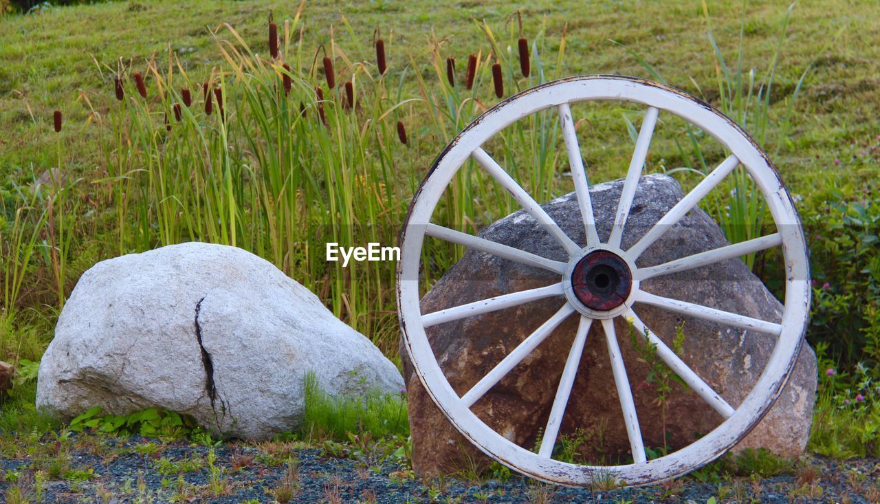 View of wheel in field