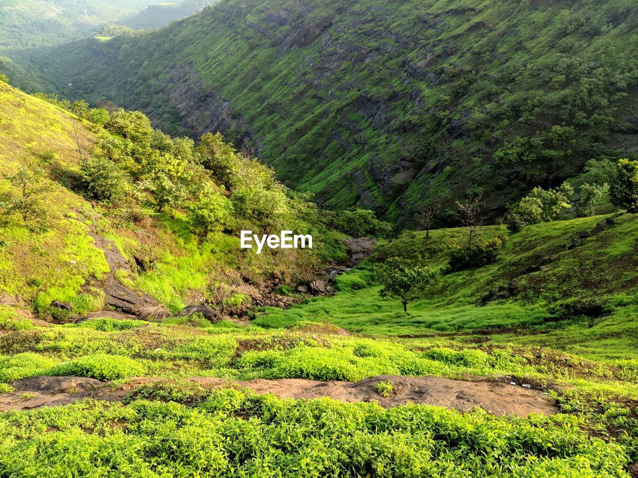 SCENIC VIEW OF GREEN LANDSCAPE AND MOUNTAINS