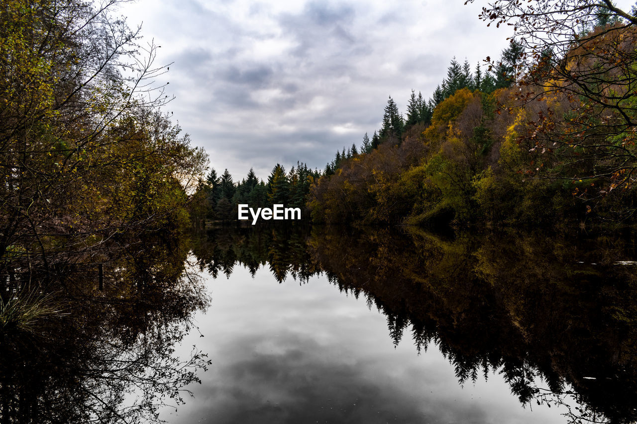 Reflection of trees in lake against sky