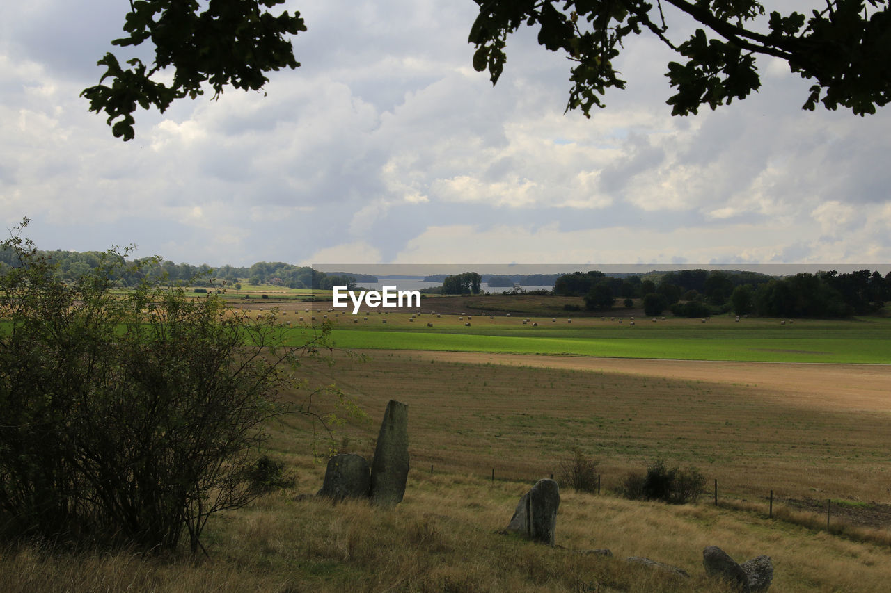 Scenic view of agricultural field against cloudy sky