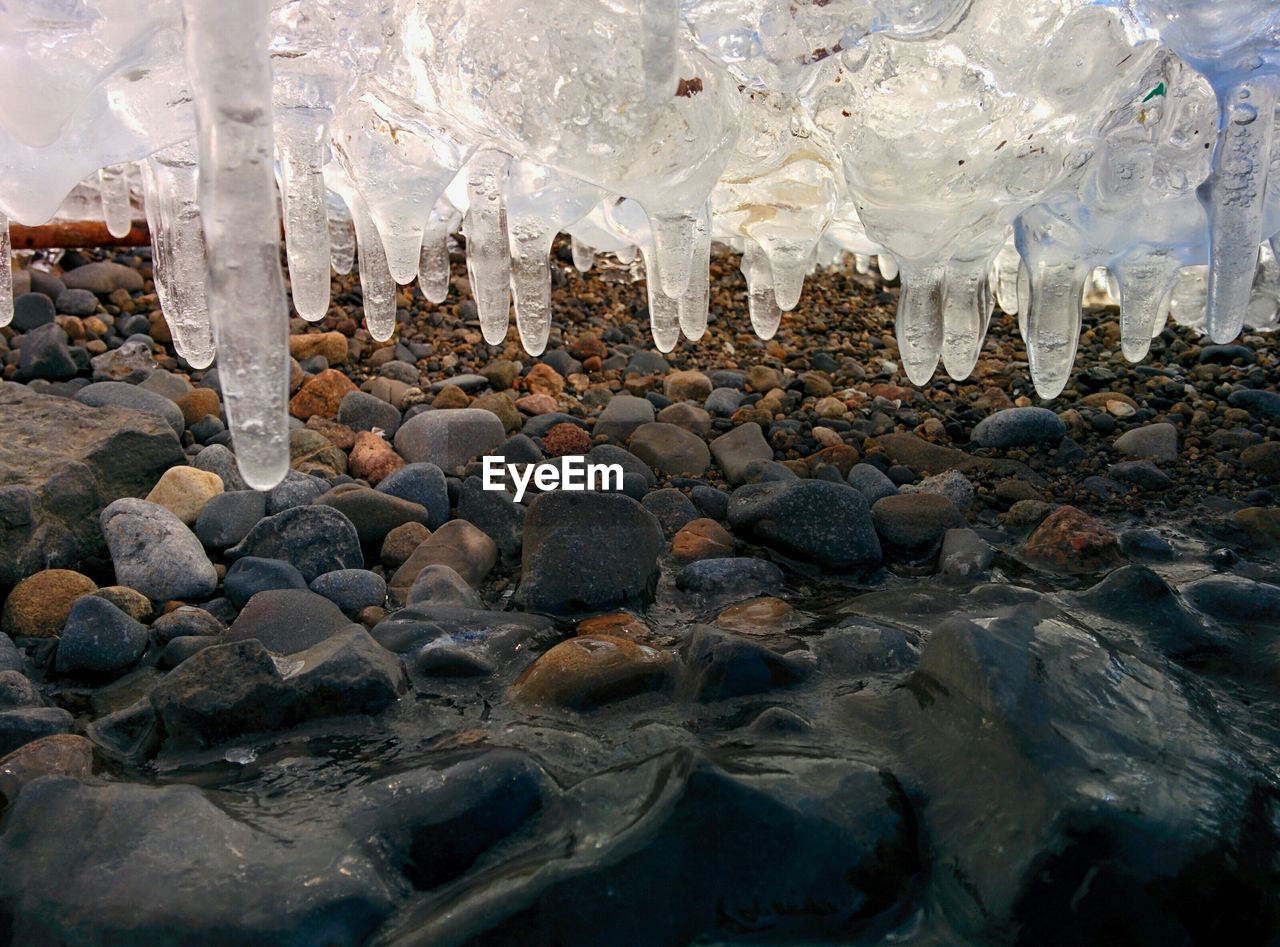 Close-up of icicles on lakeshore