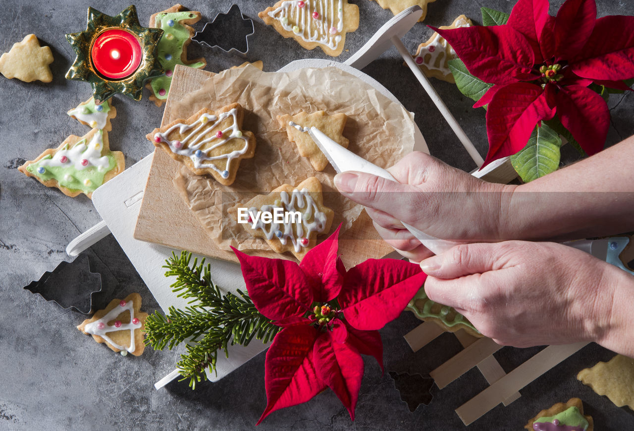 Female hands decorate shortbread christmas cookies with icing,