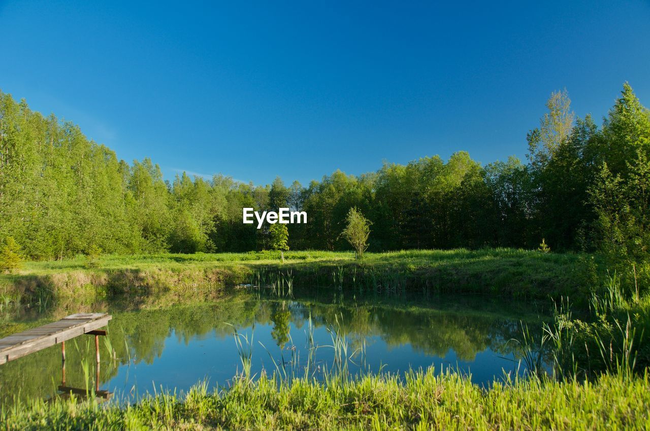 Scenic view of lake against clear blue sky