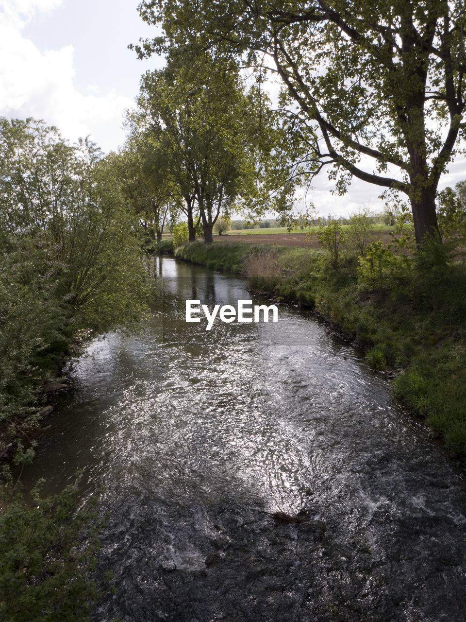 RIVER FLOWING IN FOREST