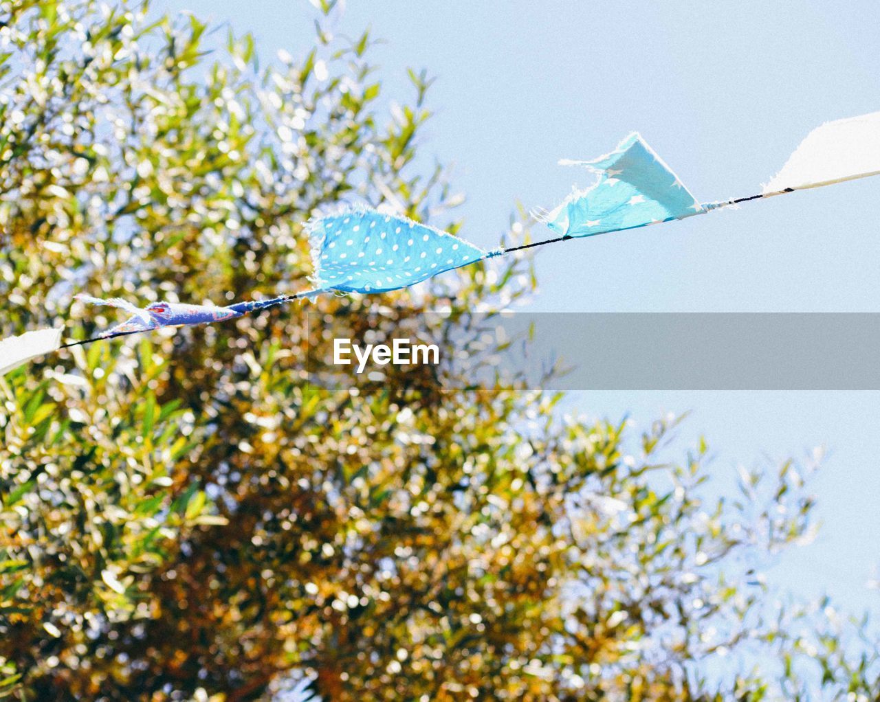 Low angle view of bunting and tree against sky