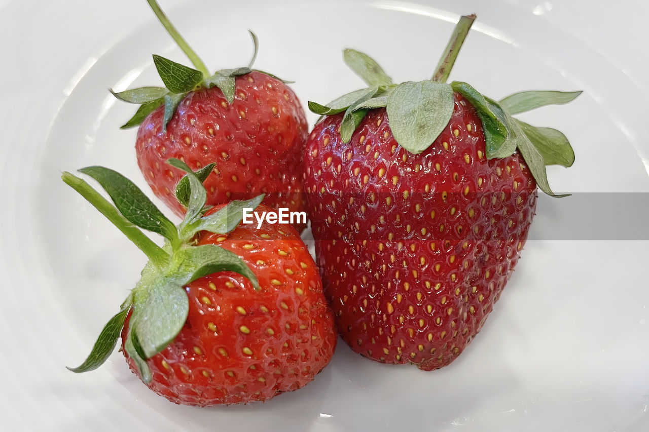 food and drink, food, healthy eating, fruit, strawberry, freshness, wellbeing, berry, red, plant, produce, leaf, no people, plant part, indoors, nature, juicy, ripe, studio shot, close-up, organic, still life