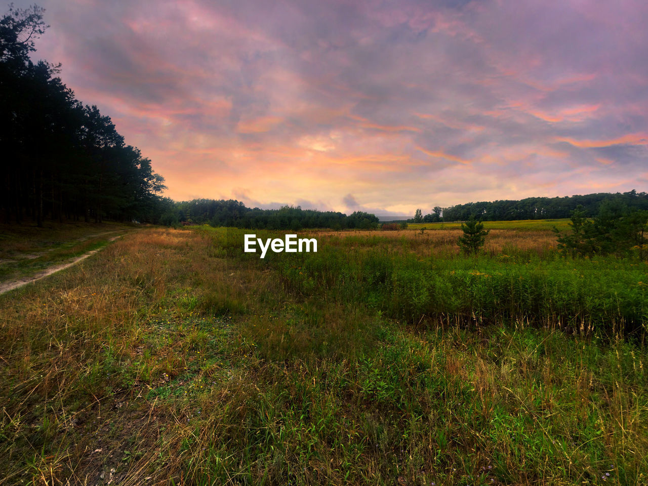 Grassy field against cloudy sky