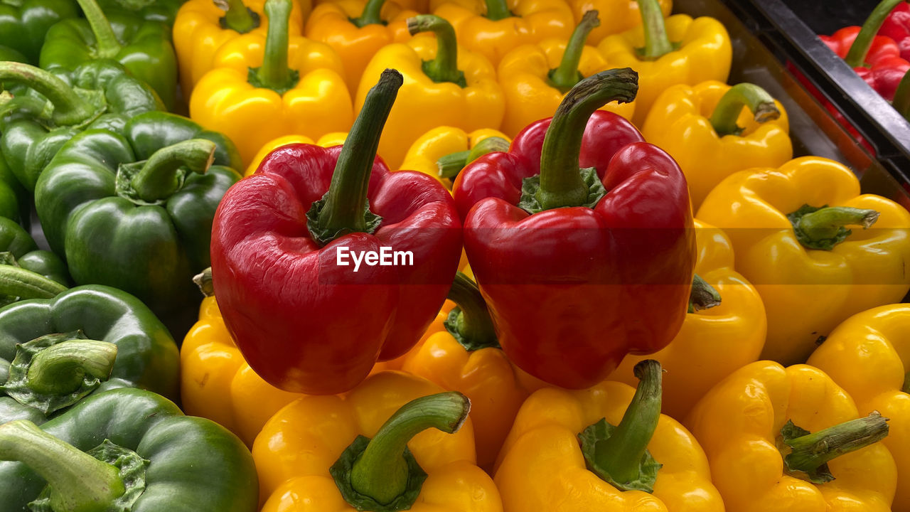 CLOSE-UP OF BELL PEPPERS FOR SALE