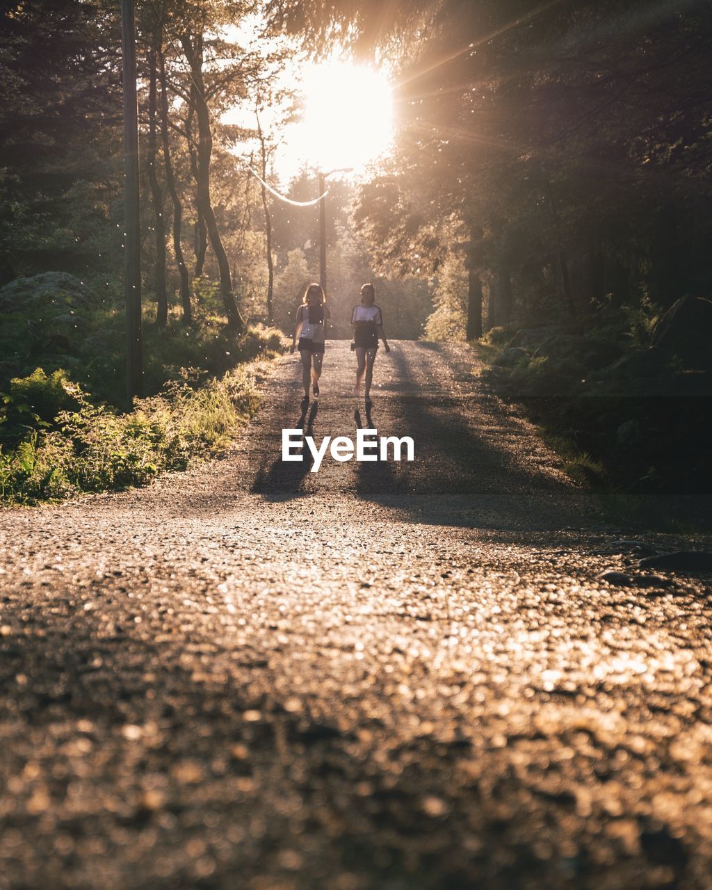 Full length of friends walking on road amidst trees in forest during sunny day