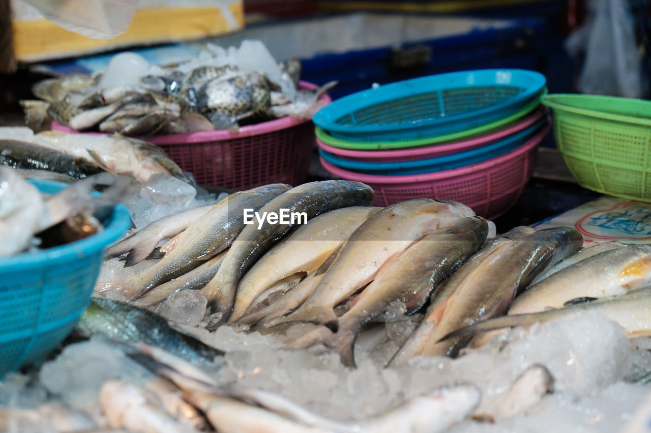 FISH FOR SALE AT MARKET STALL