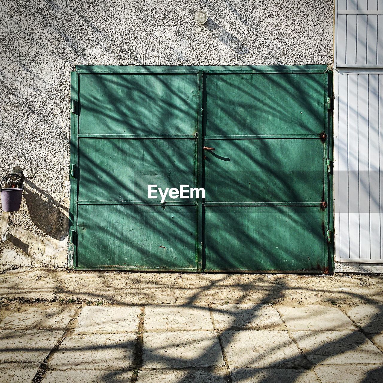 Shadows on branches on building