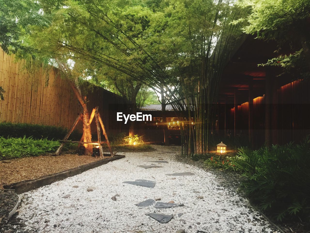 Trees growing outside yunomori onsen and spa