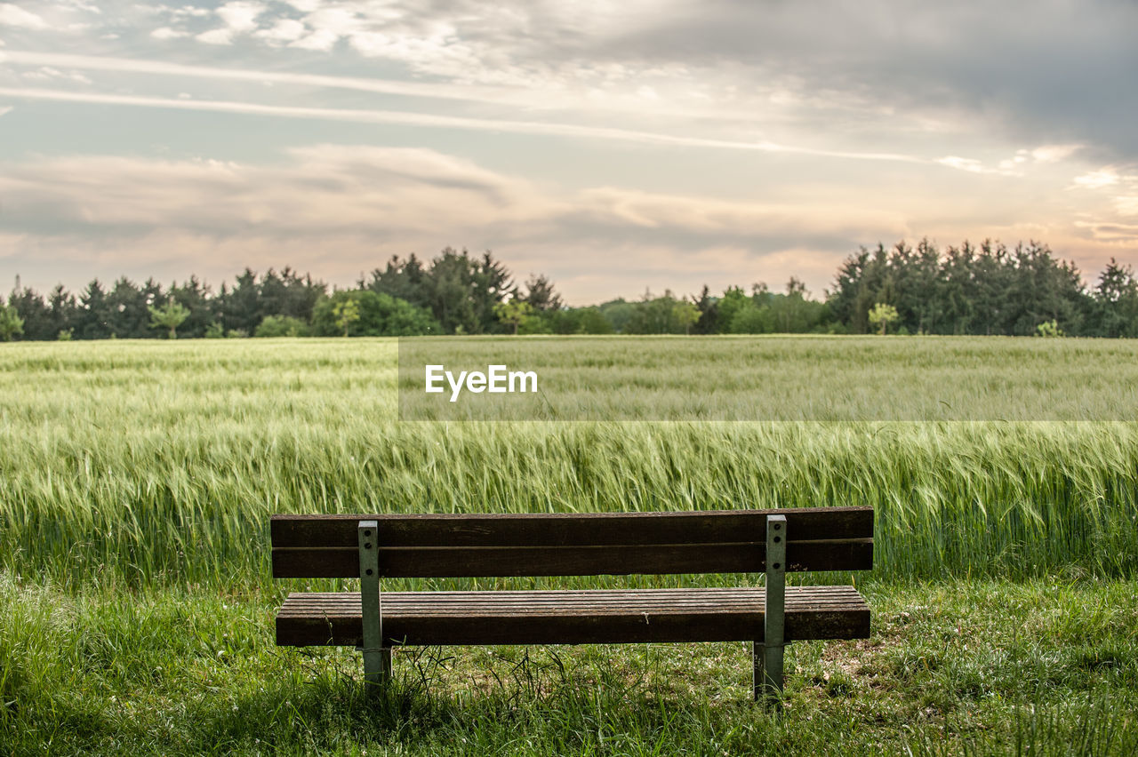 Scenic view of bench in front of  field against sky