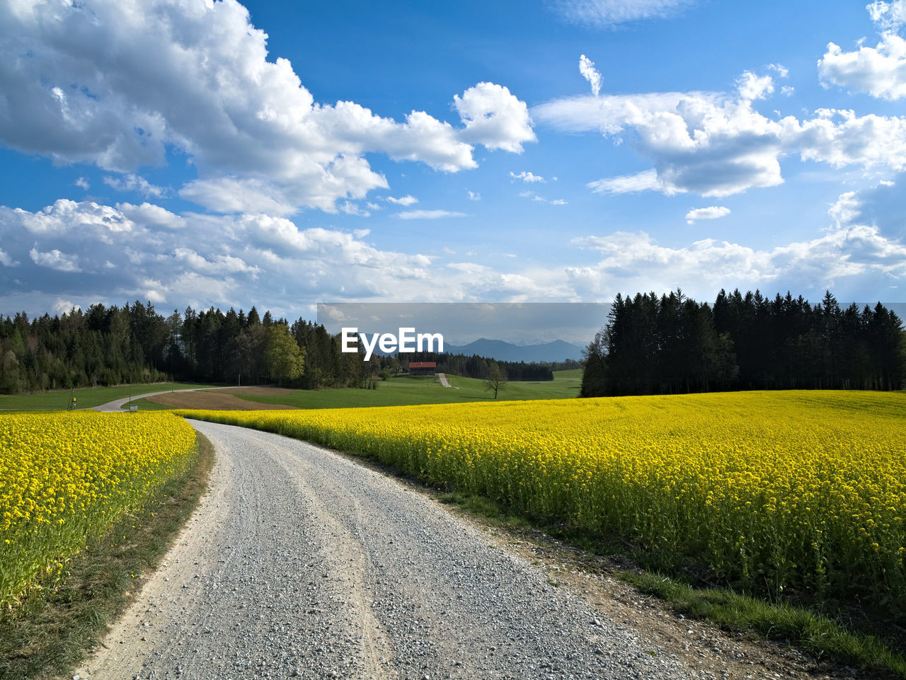 Road amidst field against sky