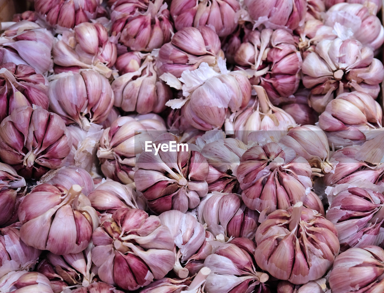 Purple garlic texture background. fresh garlic on market table closeup. pile of purple garlic heads.