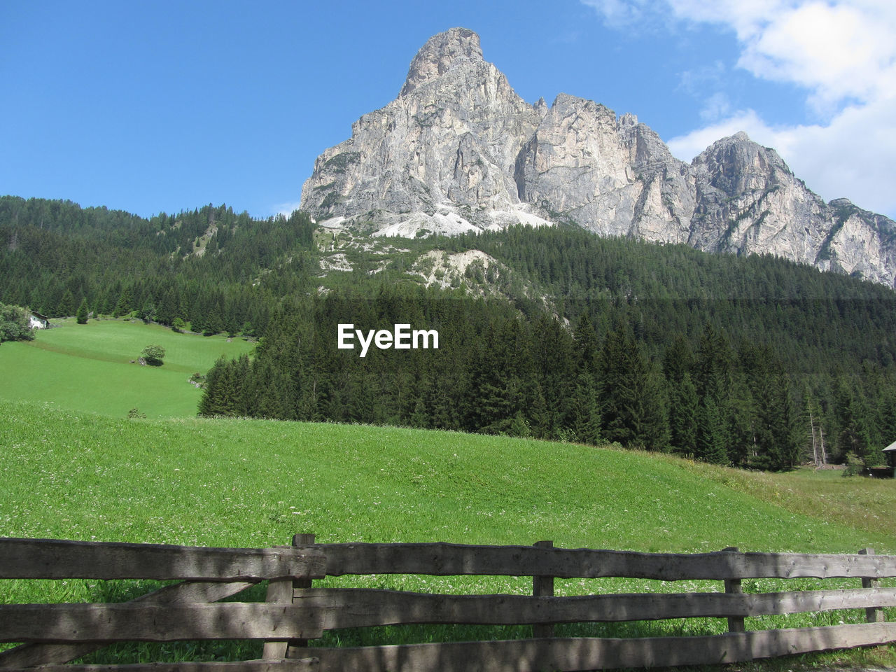 Alpine landscape with green pastures and firs against italian dolomites at summer