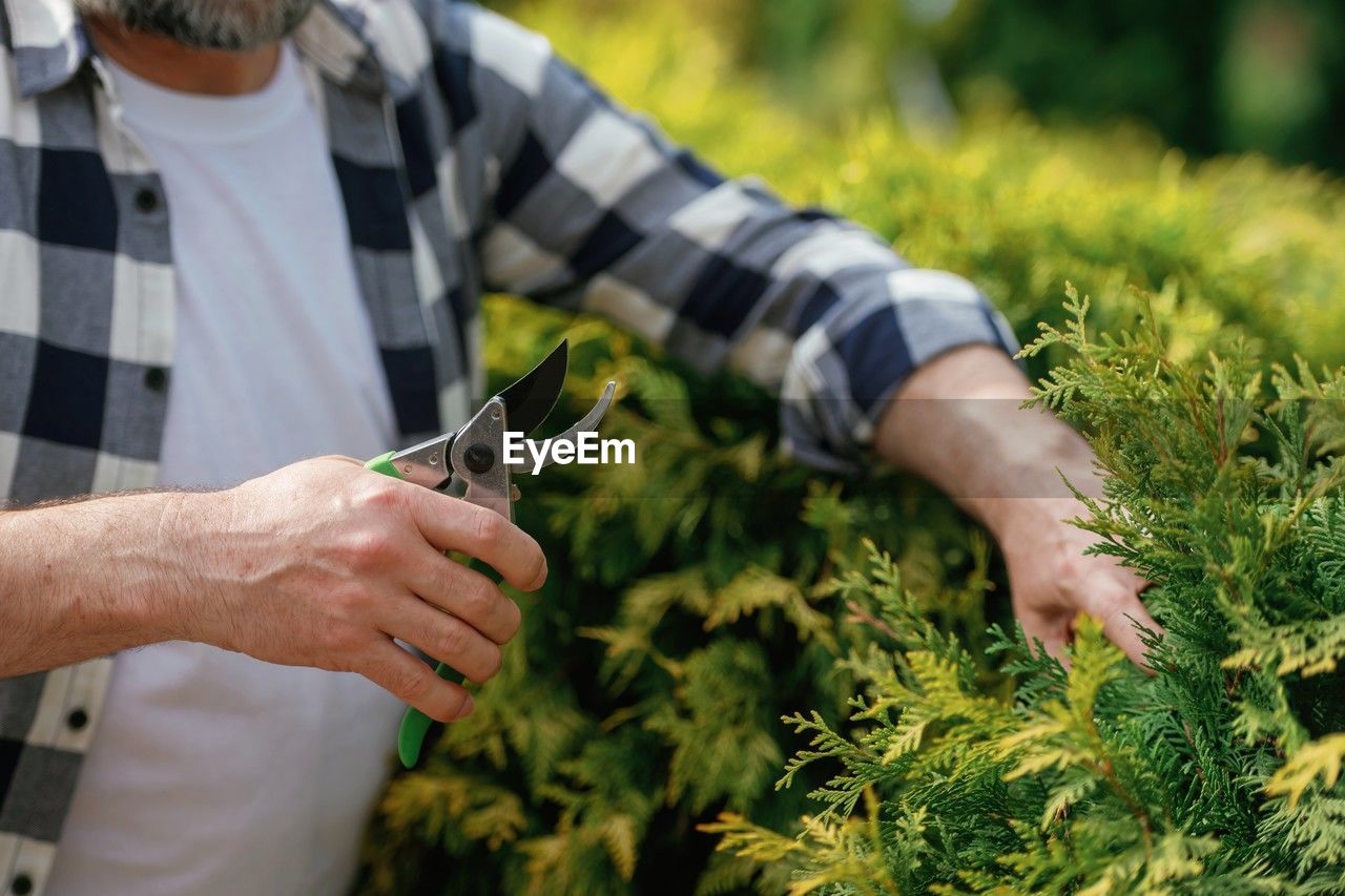 plant, growth, adult, agriculture, men, one person, nature, occupation, gardening, holding, working, rural scene, hand, organic, farm, farmer, harvesting, day, mature adult, outdoors, food and drink, food, crop, landscape, environment, vegetable, green, environmental conservation, seniors, soil, flower, senior adult, close-up, focus on foreground, casual clothing, field, land, garden, standing