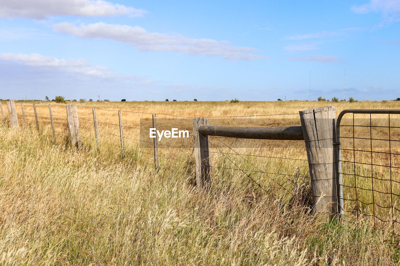 Fence and gate in field