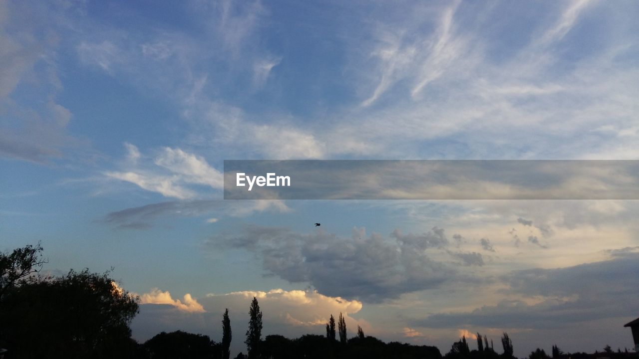 SILHOUETTE OF TREES AGAINST CLOUDY SKY AT SUNSET