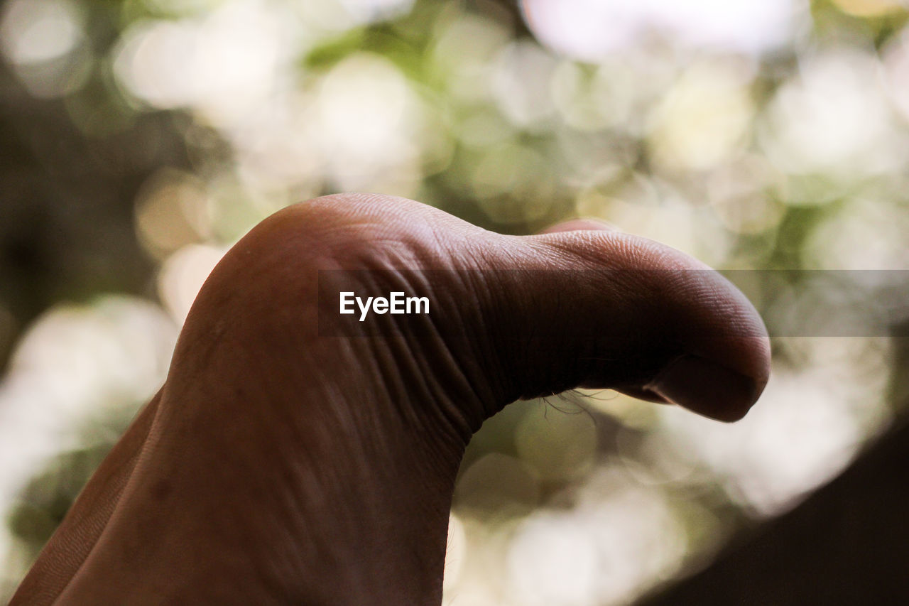 CLOSE-UP OF HUMAN HAND WITH ANIMAL EYE