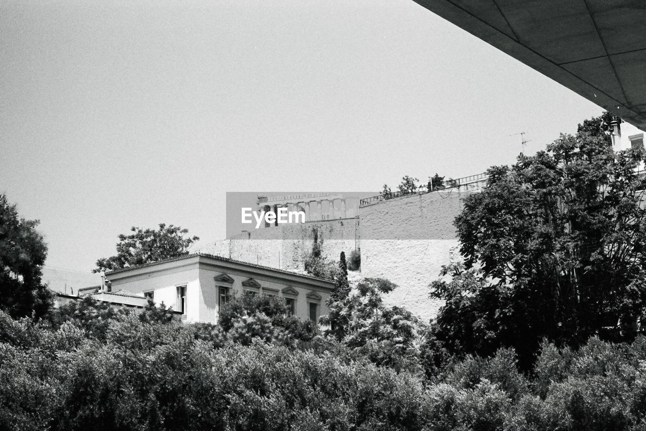 LOW ANGLE VIEW OF TREES AND BUILDINGS AGAINST SKY