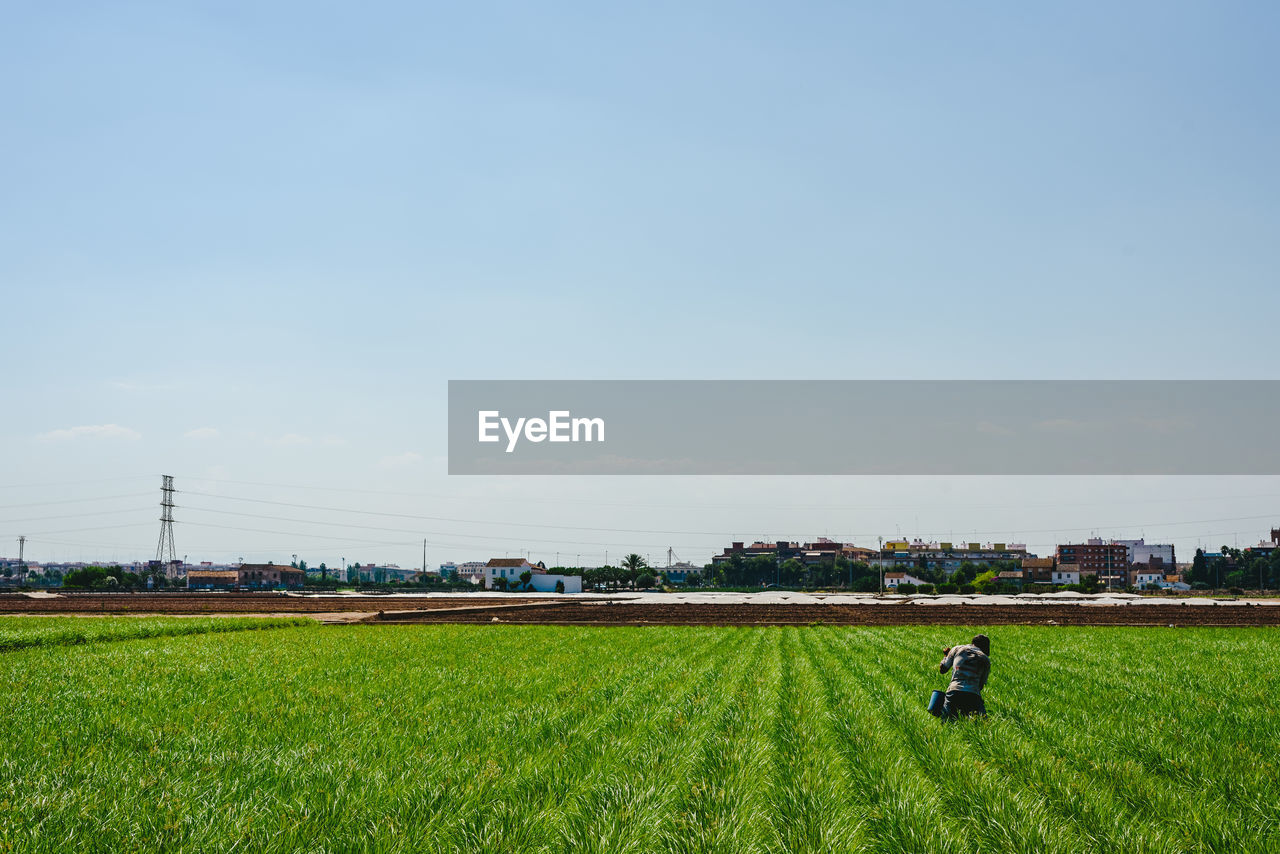 SCENIC VIEW OF LANDSCAPE AGAINST CLEAR SKY