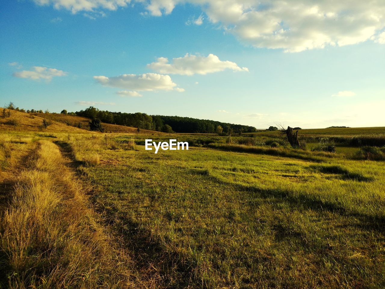 Ukrainian steppe ravine