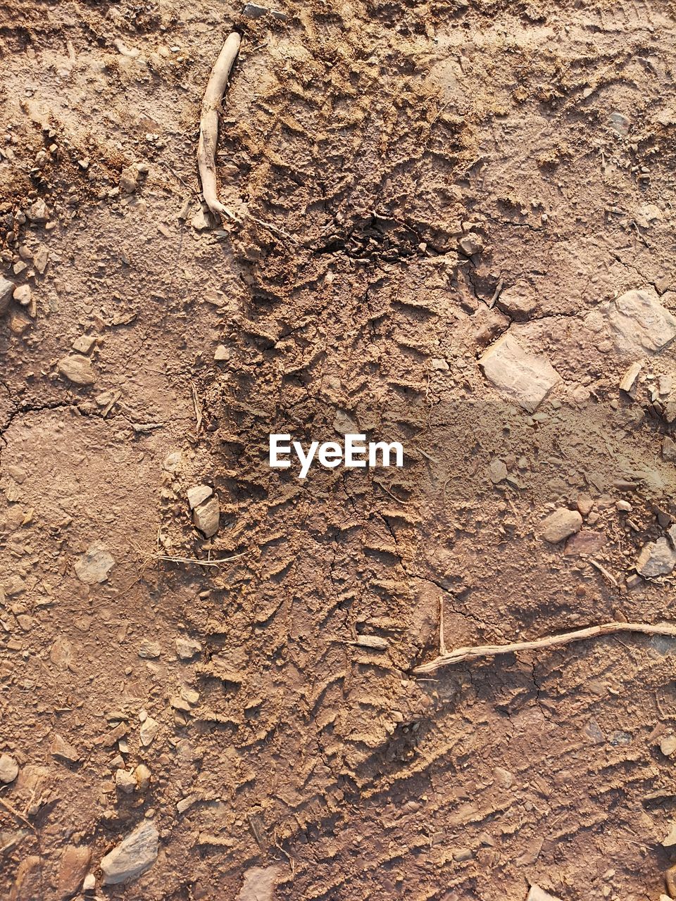 HIGH ANGLE VIEW OF TIRE TRACKS ON DIRT LAND