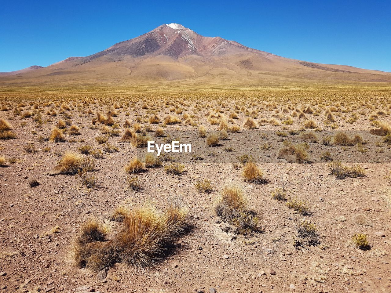 Scenic view of desert against sky