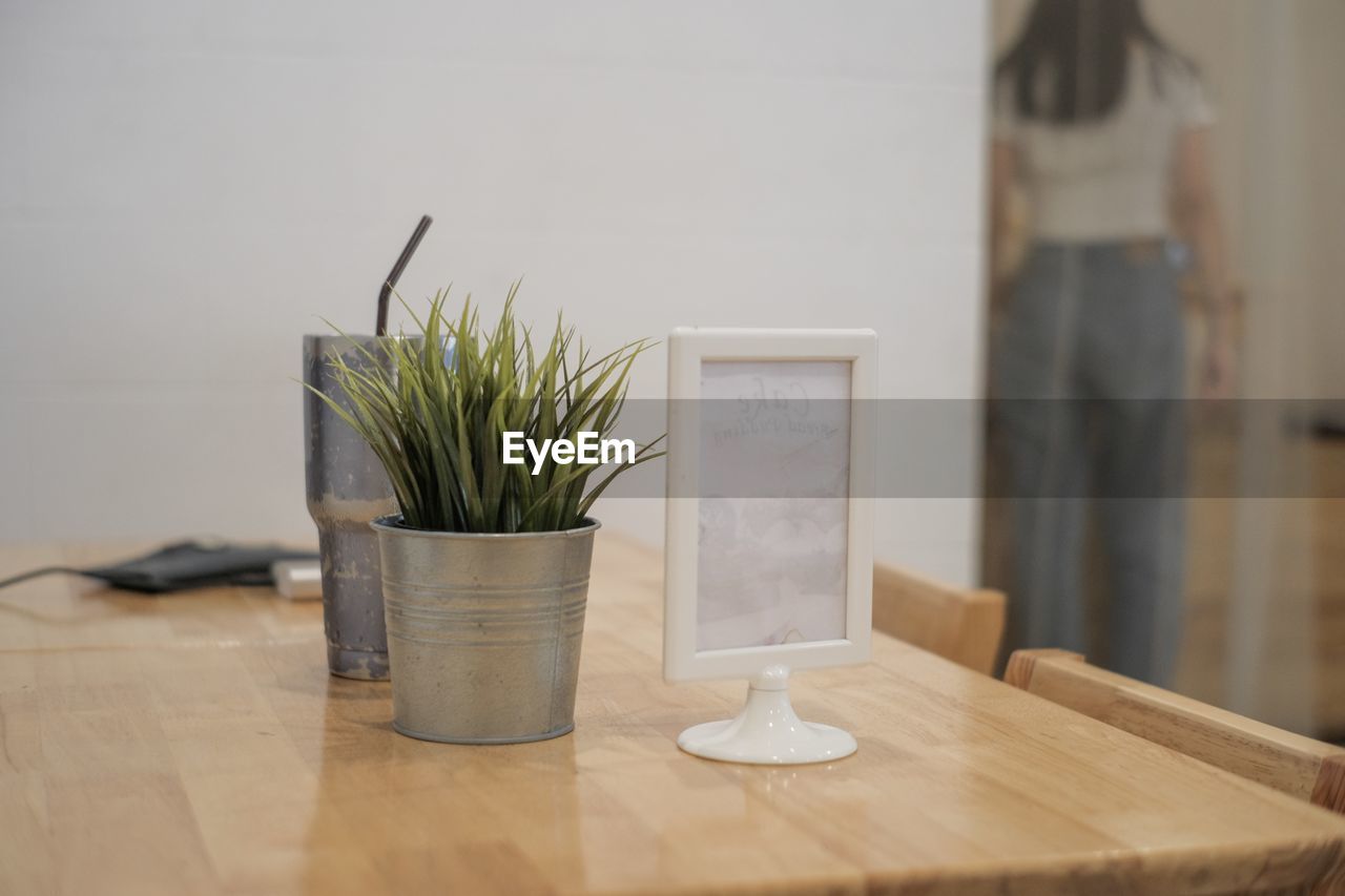 Potted plant on table at home