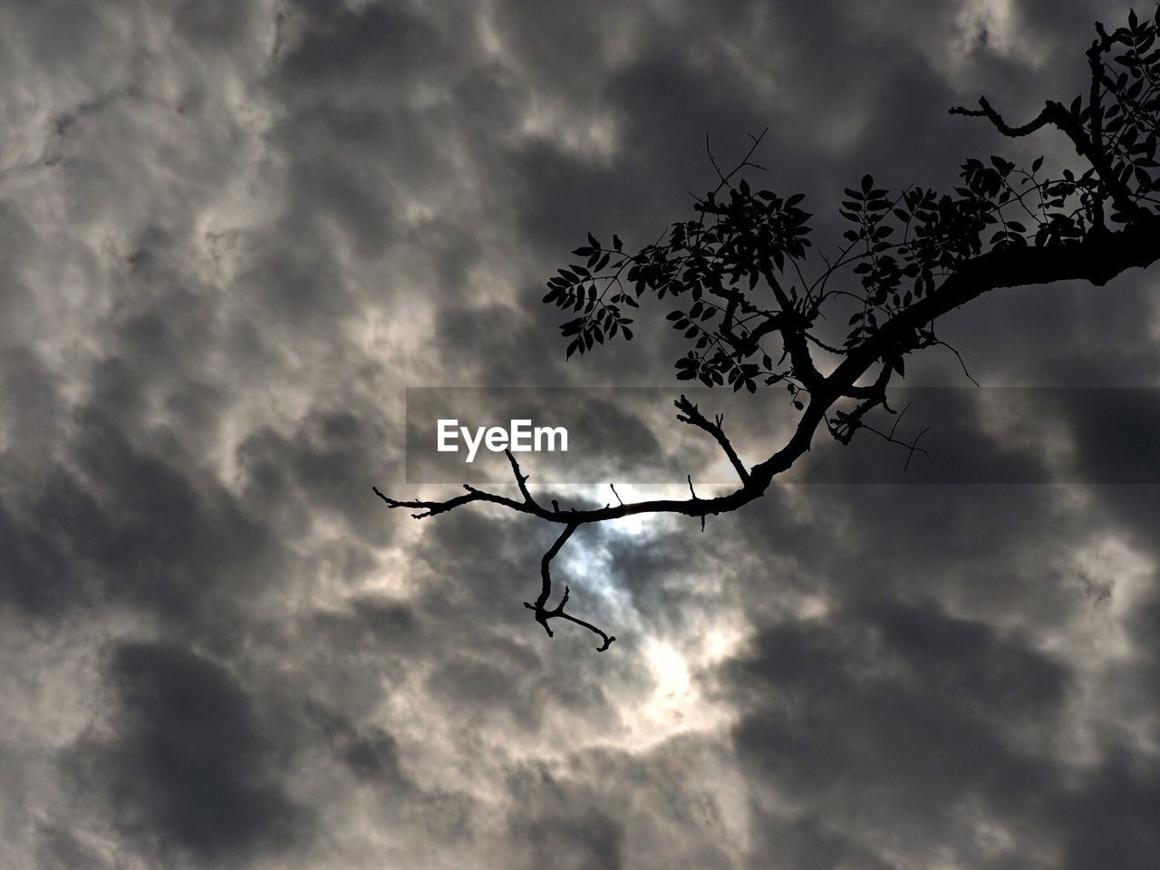 LOW ANGLE VIEW OF SILHOUETTE TREE AGAINST CLOUDY SKY